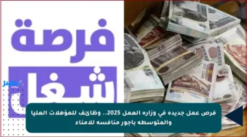فرص عمل جديدة في وزارة العمل 2025.. وظائف للمؤهلات العليا والمتوسطة بأجور منافسة للأمناء